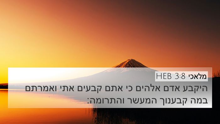 מלאכי 3:8 HEB Bible Verse Image