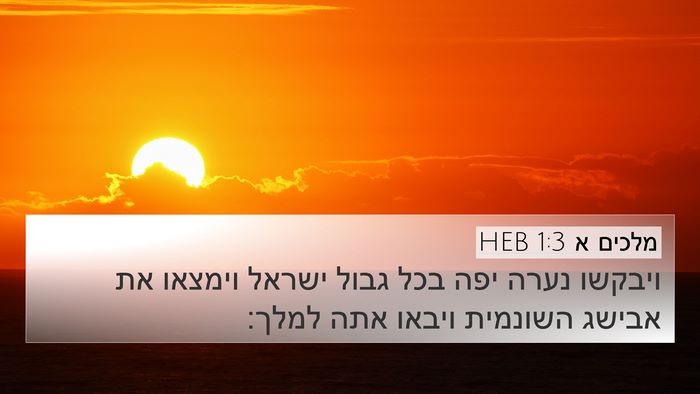 מלכים א 1:3 HEB Bible Verse Image