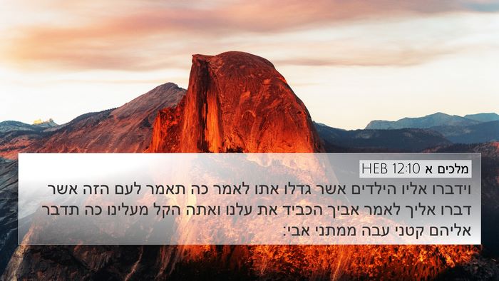 מלכים א 12:10 HEB Bible Verse Image