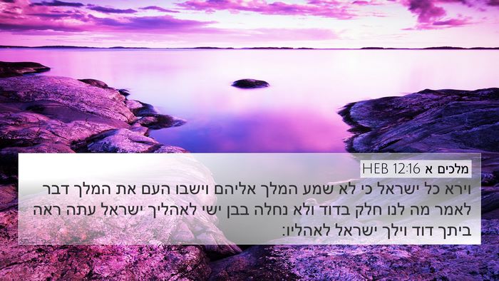 מלכים א 12:16 HEB Bible Verse Image