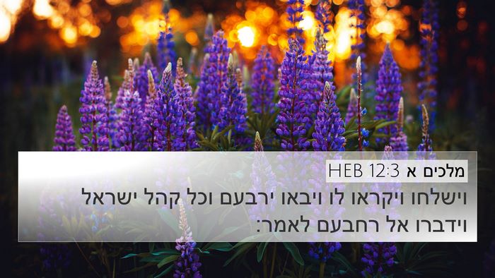 מלכים א 12:3 HEB Bible Verse Image