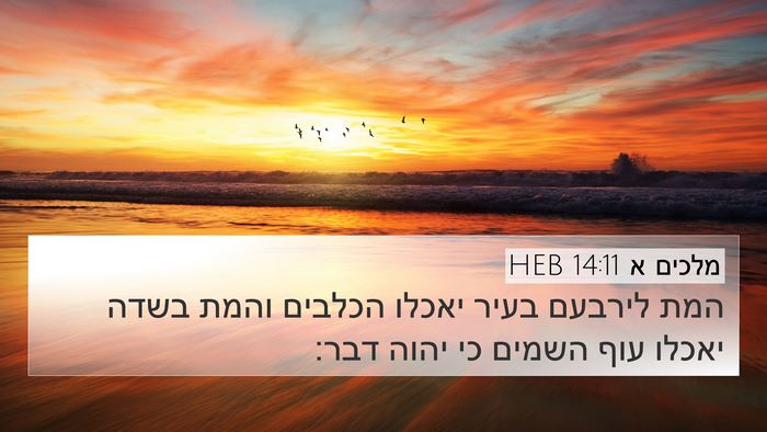 מלכים א 14:11 HEB Bible Verse Image