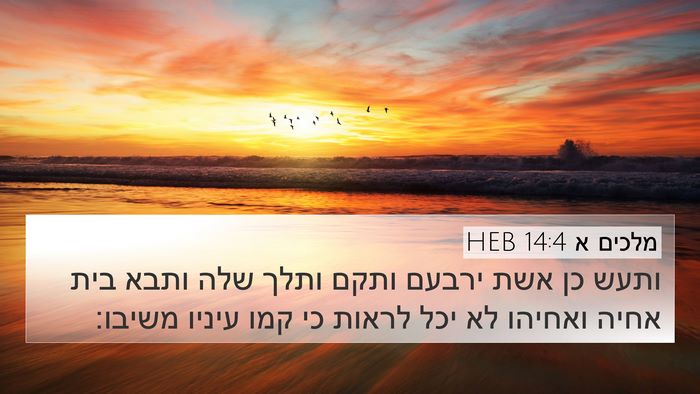 מלכים א 14:4 HEB Bible Verse Image
