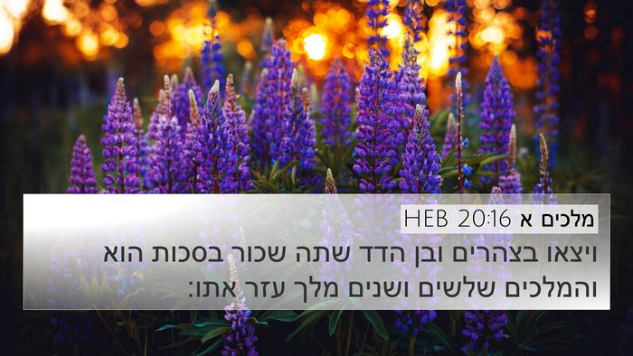 מלכים א 20:16 HEB Bible Verse Image