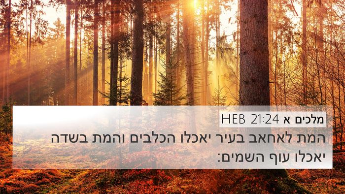 מלכים א 21:24 HEB Bible Verse Image