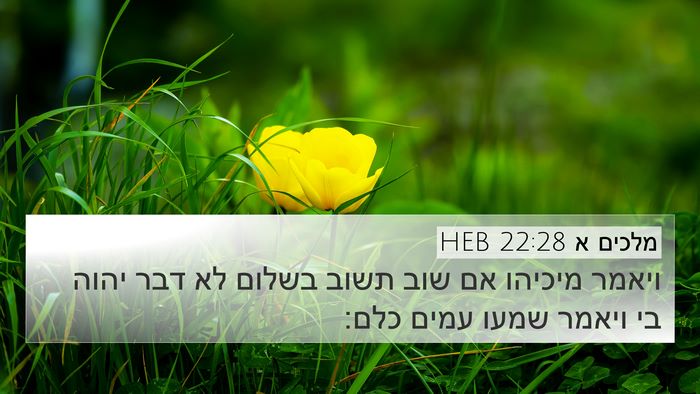 מלכים א 22:28 HEB Bible Verse Image