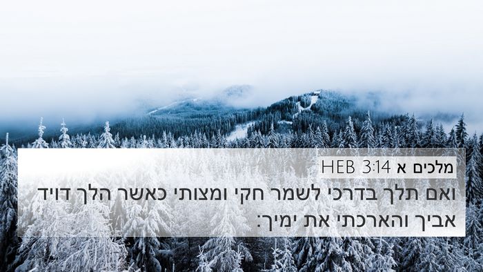 מלכים א 3:14 HEB Bible Verse Image