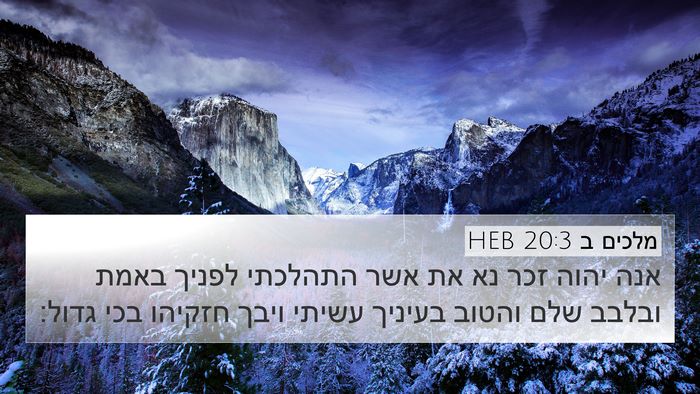 מלכים ב 20:3 HEB Bible Verse Image