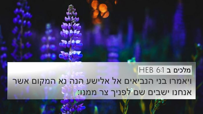 מלכים ב 6:1 HEB Bible Verse Image