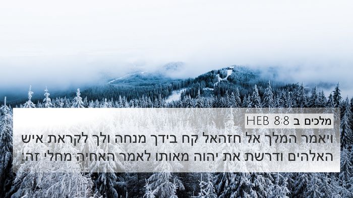 מלכים ב 8:8 HEB Bible Verse Image