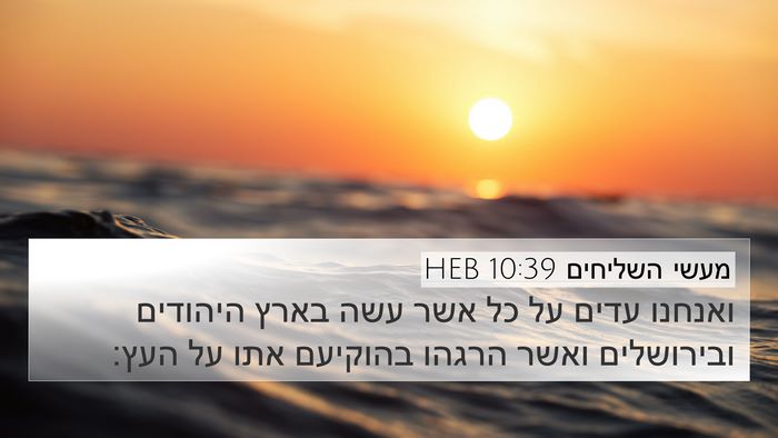 מעשי השליחים 10:39 HEB Bible Verse Image