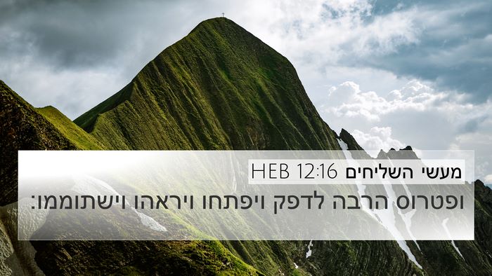מעשי השליחים 12:16 HEB Bible Verse Image