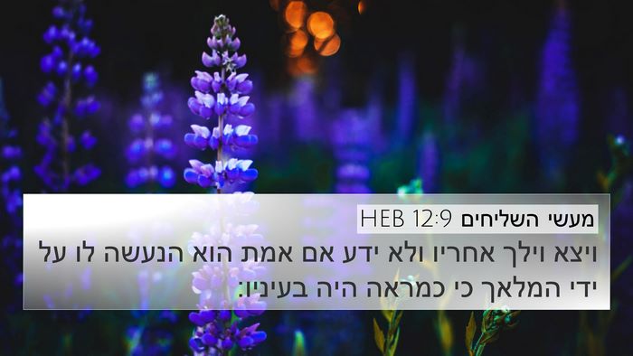מעשי השליחים 12:9 HEB Bible Verse Image