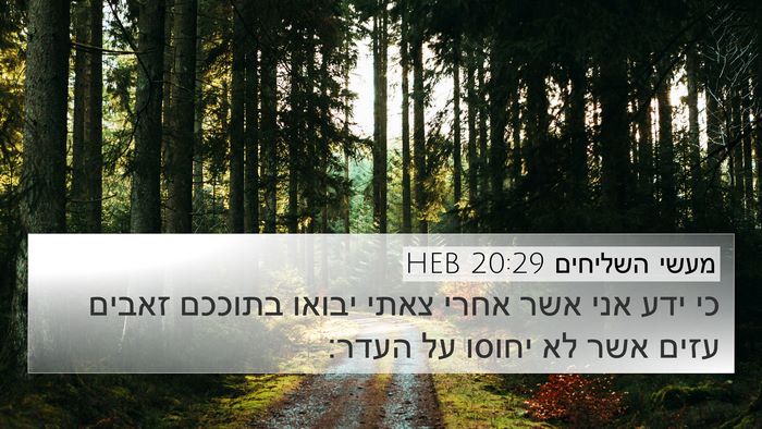 מעשי השליחים 20:29 HEB Bible Verse Image