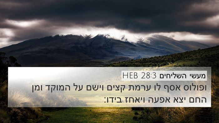 מעשי השליחים 28:3 HEB Bible Verse Image