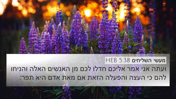 מעשי השליחים 5:38 HEB Bible Verse Image