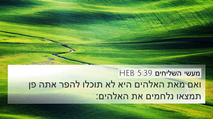 מעשי השליחים 5:39 HEB Bible Verse Image