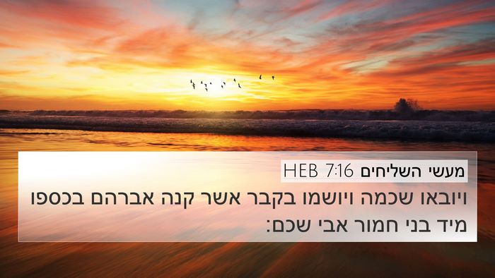 מעשי השליחים 7:16 HEB 4K Wallpaper - ויובאו שכמה ויושמו בקבר - 4K Wallpaper Bible Verse
