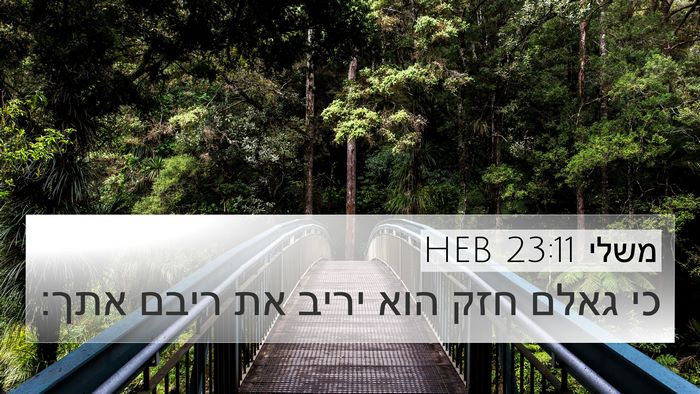 משלי 23:11 HEB Bible Verse Image