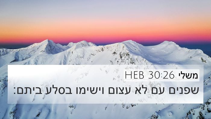 משלי 30:26 HEB 4K Wallpaper - שפנים עם לא עצום וישימו - 4K Wallpaper Bible Verse