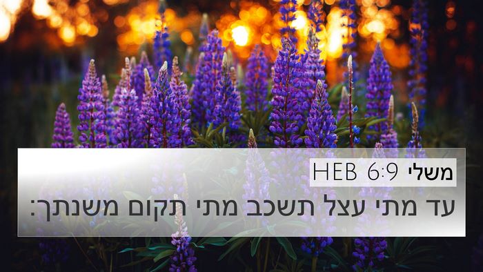 משלי 6:9 HEB Bible Verse Image