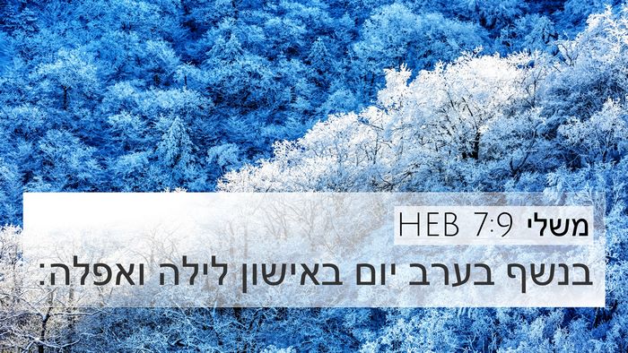 משלי 7:9 HEB 4K Wallpaper - בנשף בערב יום באישון לילה - 4K Wallpaper Bible Verse
