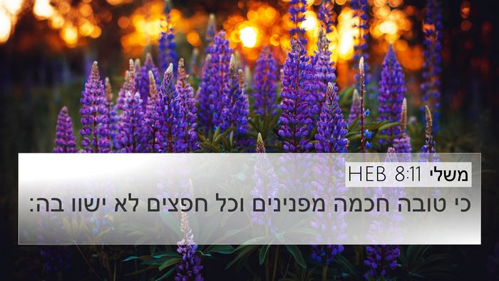 משלי 8:11 HEB Bible Verse Image