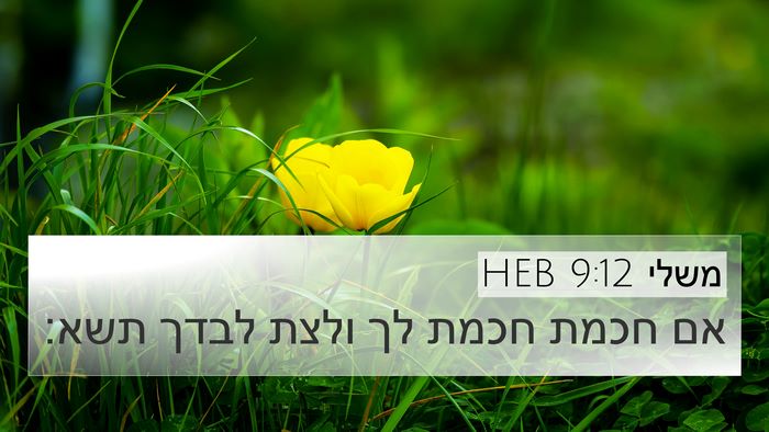 משלי 9:12 HEB Bible Verse Image