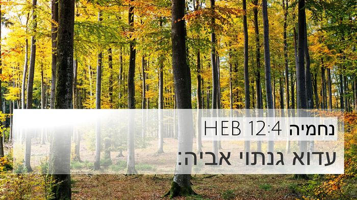 נחמיה 12:4 HEB Bible Verse Image