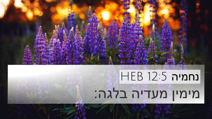 נחמיה 12:5 HEB Bible Verse Image