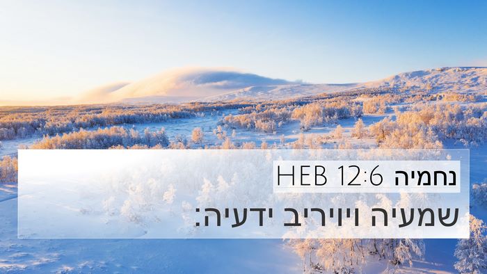 נחמיה 12:6 HEB Bible Verse Image