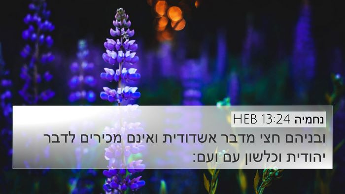 נחמיה 13:24 HEB Bible Verse Image