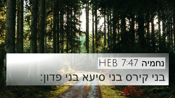נחמיה 7:47 HEB 4K Wallpaper - בני קירס בני סיעא בני - 4K Wallpaper Bible Verse