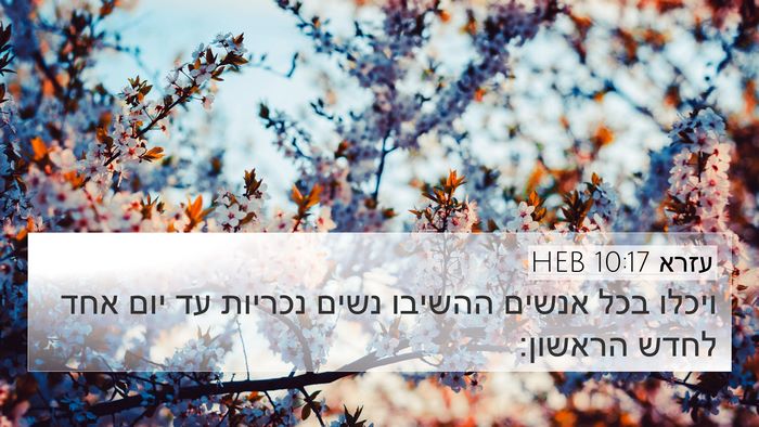 עזרא 10:17 HEB 4K Wallpaper - ויכלו בכל אנשים ההשיבו - 4K Wallpaper Bible Verse