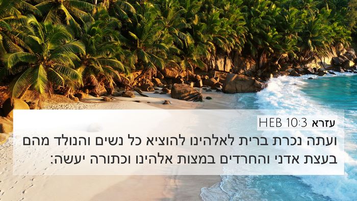 עזרא 10:3 HEB 4K Wallpaper - ועתה נכרת ברית לאלהינו - 4K Wallpaper Bible Verse