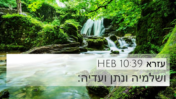 עזרא 10:39 HEB 4K Wallpaper - ושלמיה ונתן - 4K Wallpaper Bible Verse