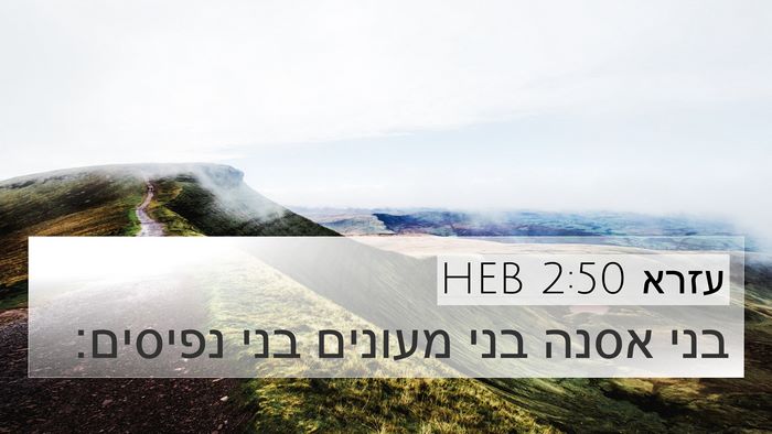 עזרא 2:50 HEB Bible Verse Image