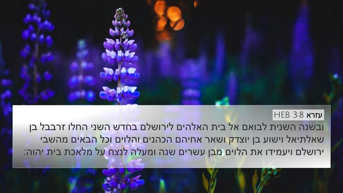 עזרא 3:8 HEB Bible Verse Image