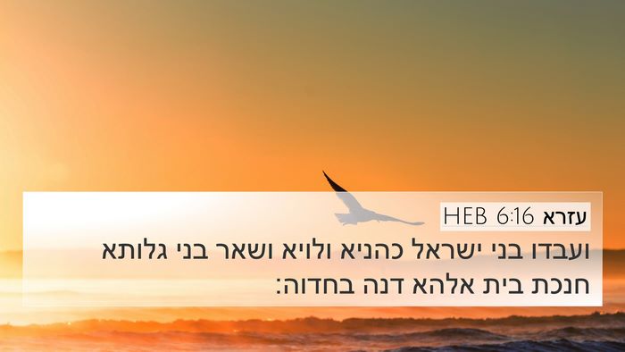 עזרא 6:16 HEB Bible Verse Image