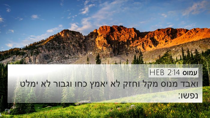 עמוס 2:14 HEB Bible Verse Image