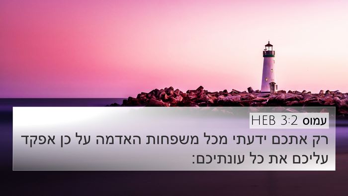 עמוס 3:2 HEB Bible Verse Image