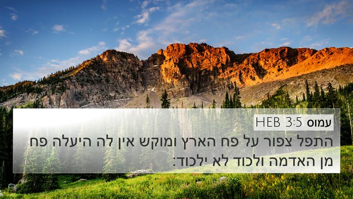 עמוס 3:5 HEB Bible Verse Image