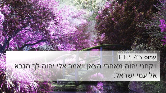 עמוס 7:15 HEB Bible Verse Image