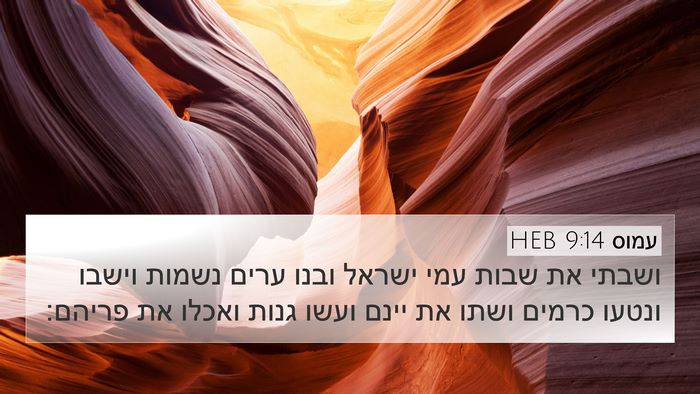 עמוס 9:14 HEB Bible Verse Image