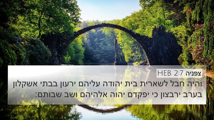 צפניה 2:7 HEB Bible Verse Image