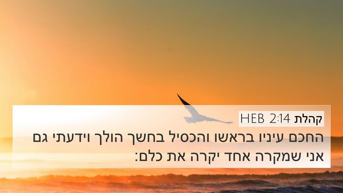 קהלת 2:14 HEB Bible Verse Image
