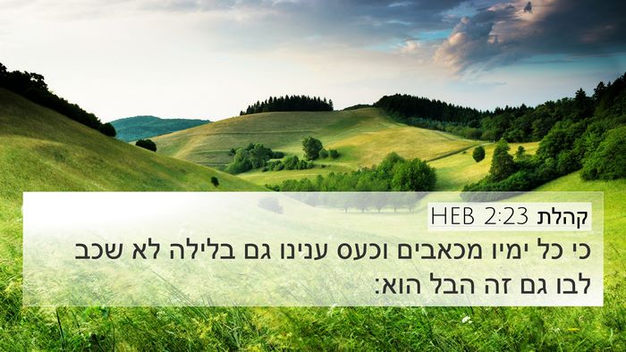 קהלת 2:23 HEB Bible Verse Image
