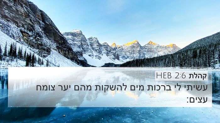 קהלת 2:6 HEB 4K Wallpaper - עשיתי לי ברכות מים להשקות - 4K Wallpaper Bible Verse