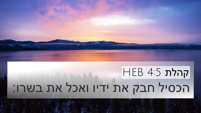 קהלת 4:5 HEB 4K Wallpaper - הכסיל חבק את ידיו ואכל את - 4K Wallpaper Bible Verse