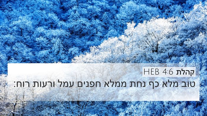 קהלת 4:6 HEB Bible Verse Image